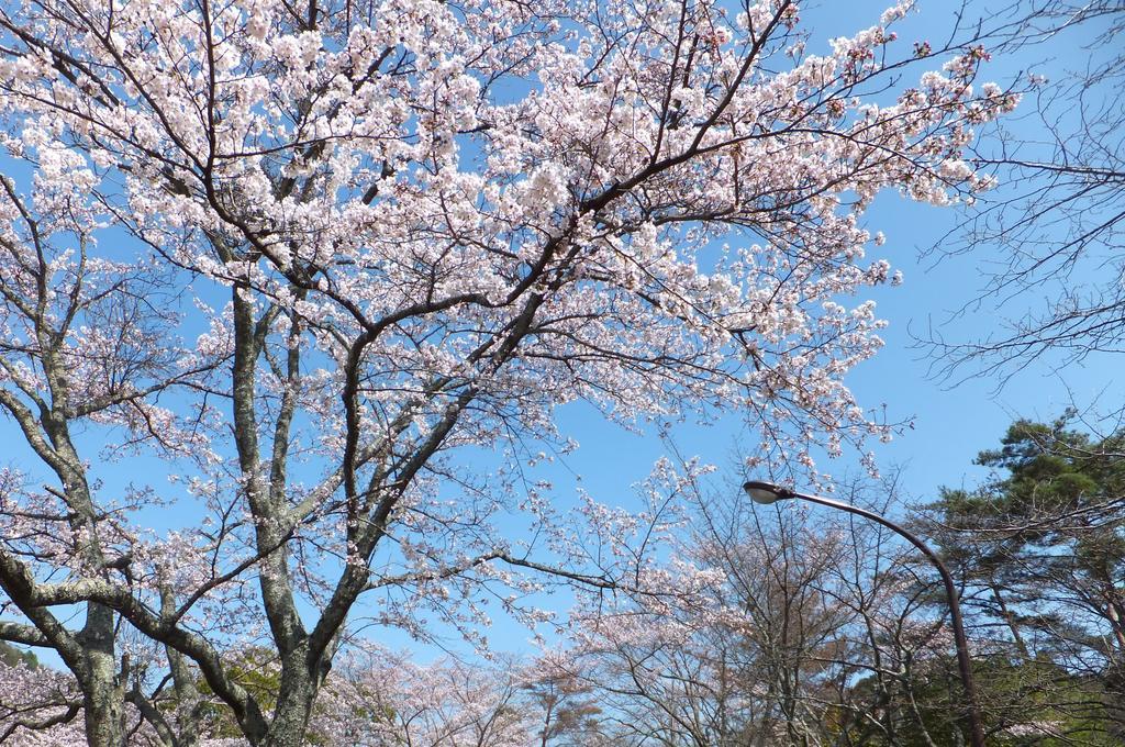 Maple Inagawa Hotel Kawabe  Ngoại thất bức ảnh